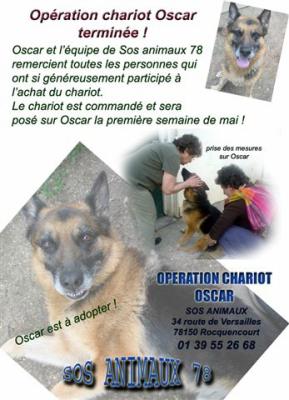 *Opération Oscar terminé*